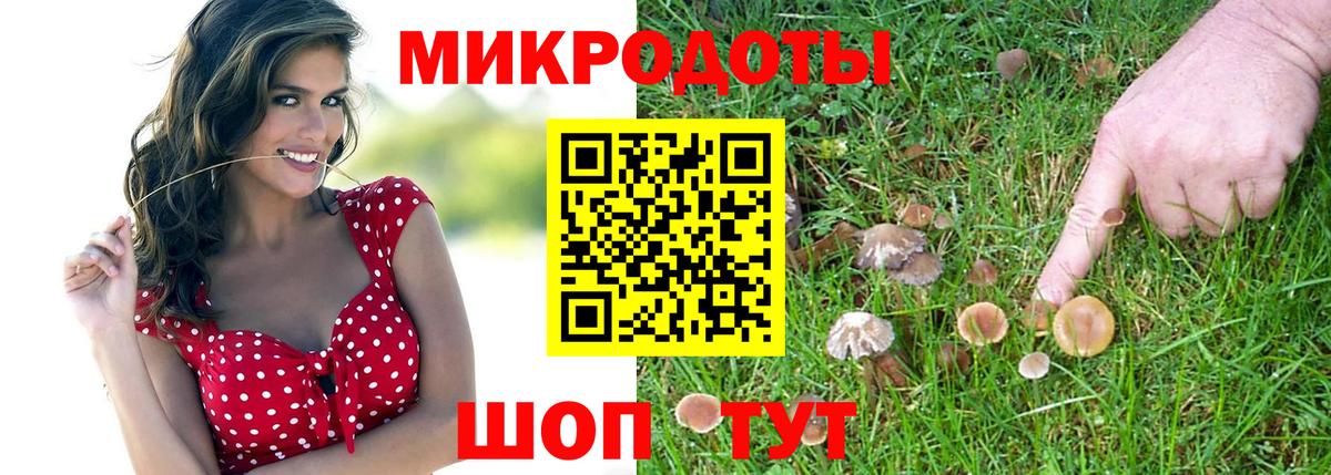 Псилоцибиновые грибы ЛСД  Галлюциногенные грибы Psilocybine cubensis  Вход с VPN  Сердобск 